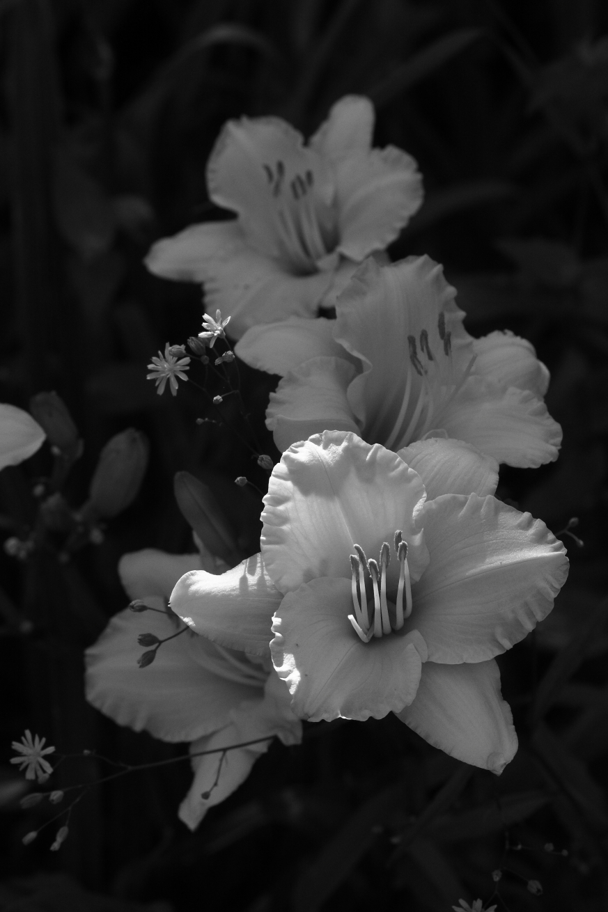 2015 07 22 HTP 000072266ebw